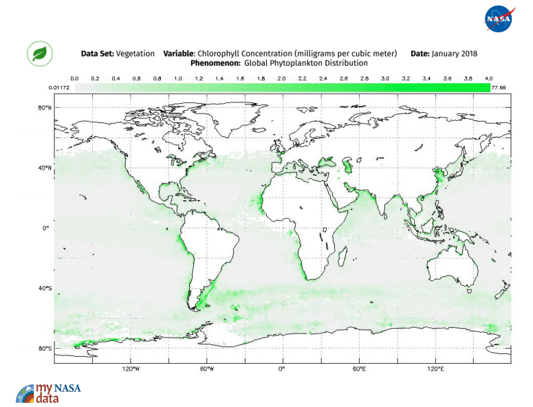 Global Phytoplankton Distribution Images
