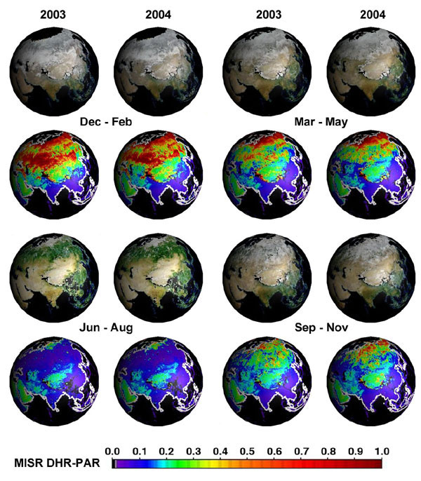 MISR Imagery - Seasonal Changes in Albedo - Credit: Image credit: NASA/GSFC/LaRC/JPL, MISR Team.