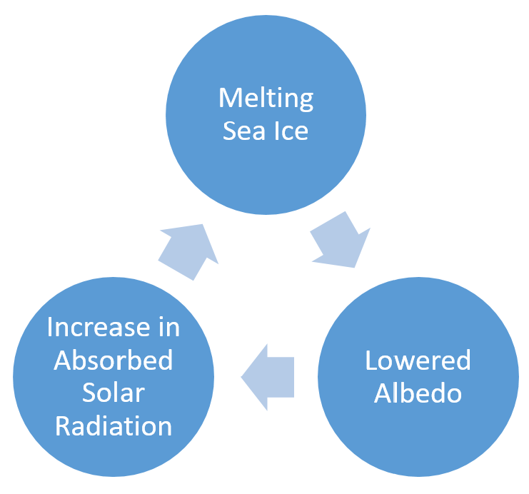 Albedo - Changing Ice Diagram