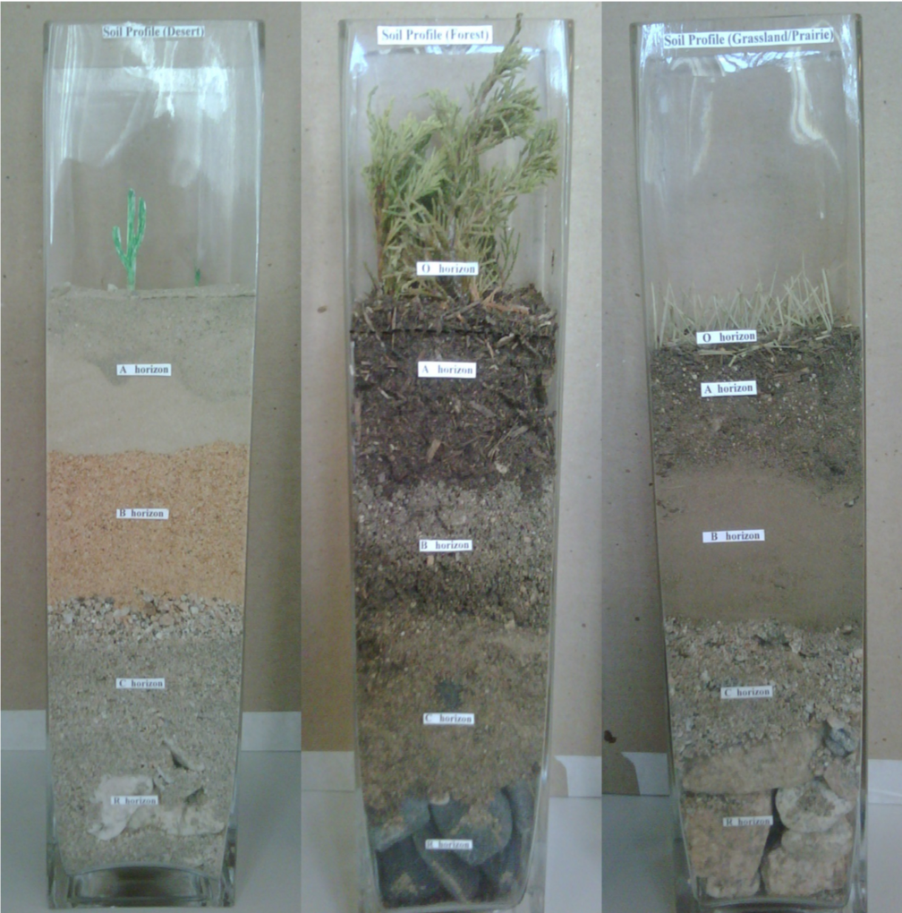 how to make soil profile model