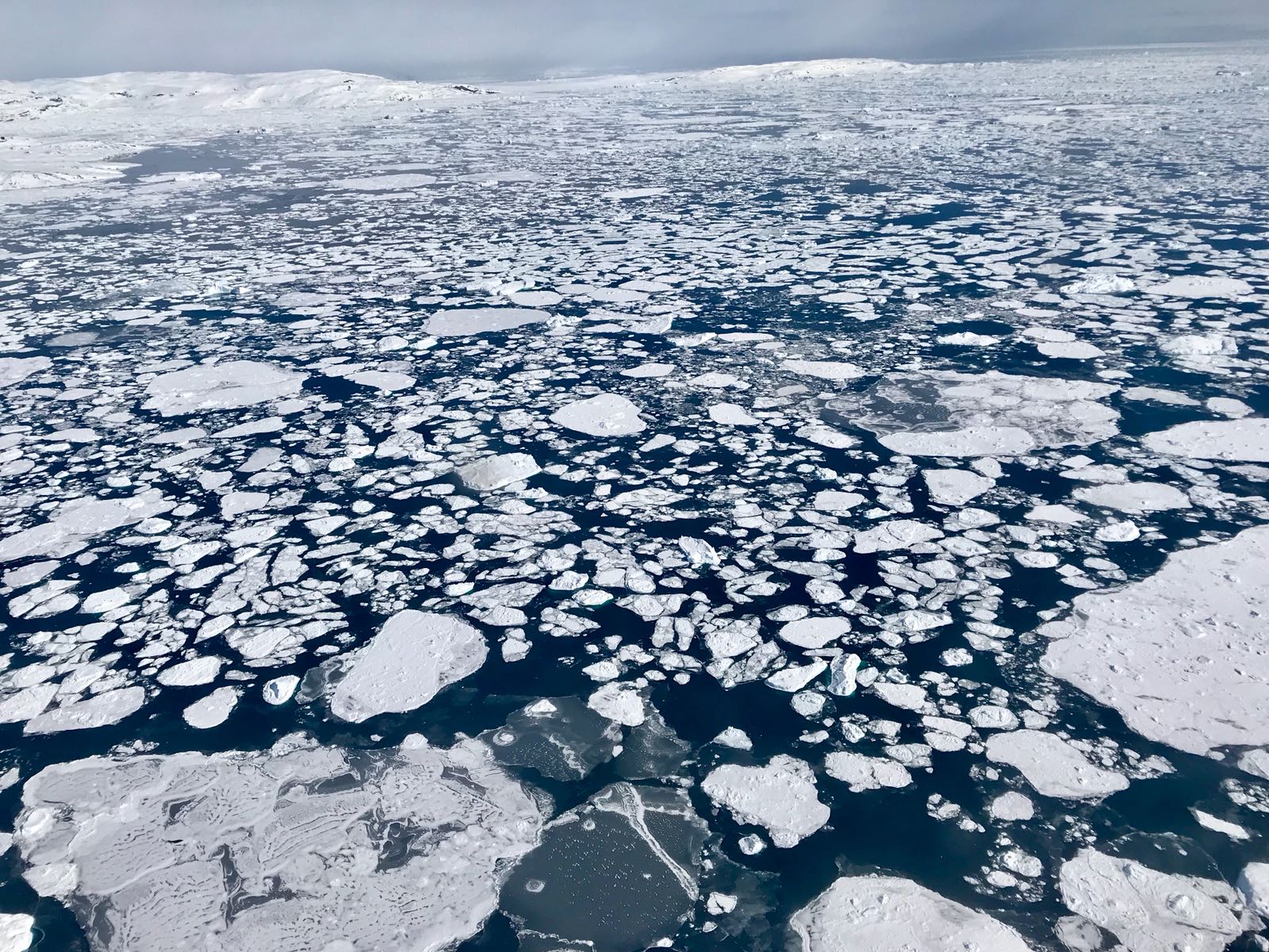 Арктические осадки. Arctic Sea Ice. Морской лед в Арктике. Северный Ледовитый океан Ямал. Льды Арктики 2021.