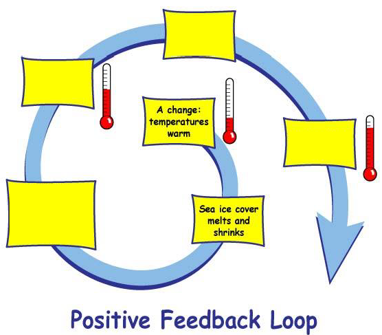 Positive Feedback Loop - Image modified from https://climatekids.nasa.gov/arctic-animals/