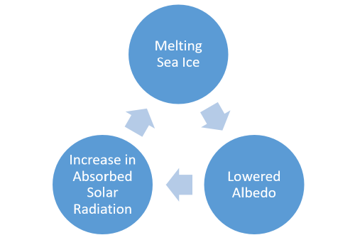 Albedo Changing Ice Diagram.