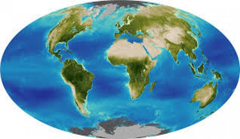 Plant Growth Patterns Image Credit: NASA