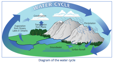 Water Cycle Bundle (Source: globe.gov)