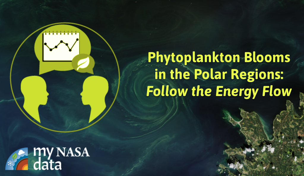 Scientifically-Interesting Story of Phytoplankton Blooms: Follow the Energy Flow