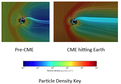CME Animation Model