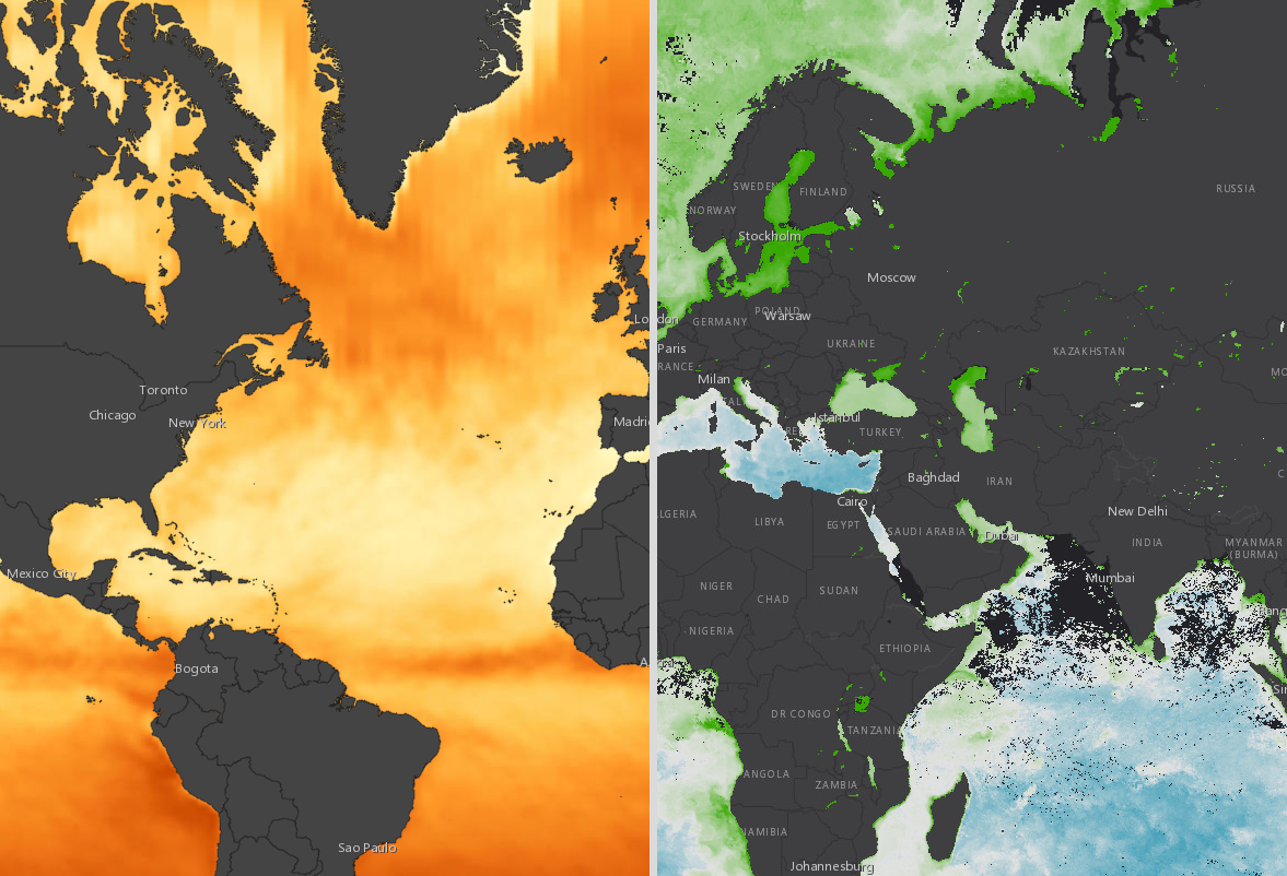 Chlorophyll Concentration and Incoming Shortwave Radiation