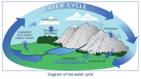 Water cycle bundle