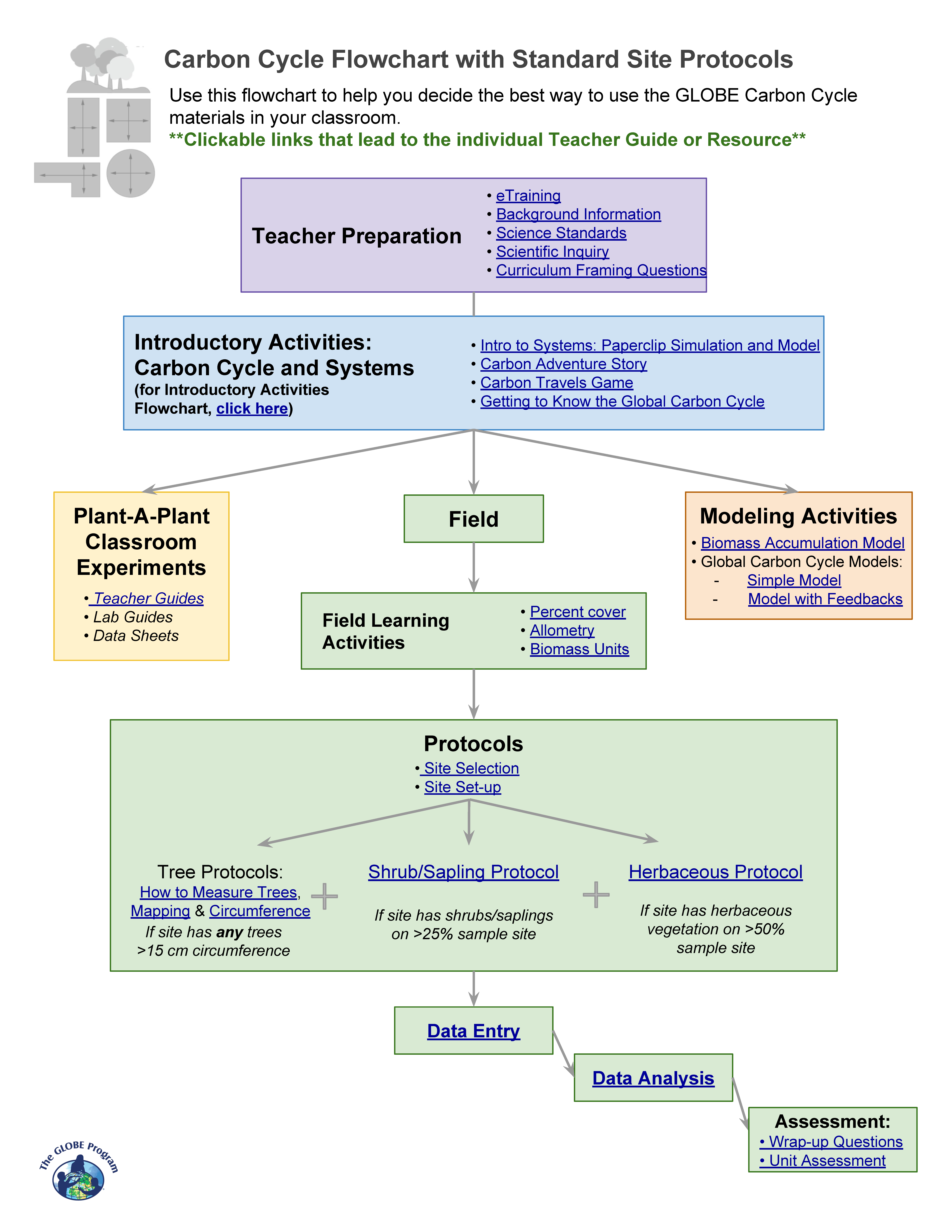 Carbon cycle flow chart