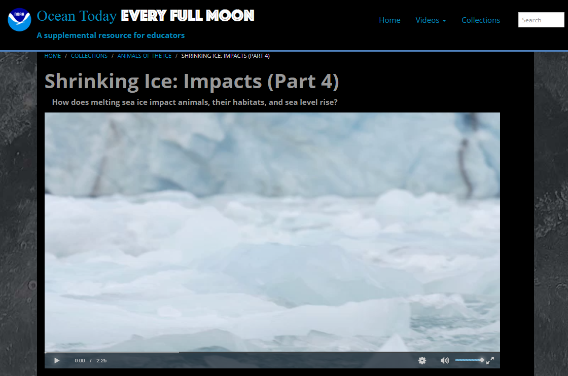 Shrinking Ice: Impacts (Part 4) - Credit NOAA