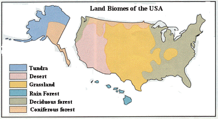 Land Biome