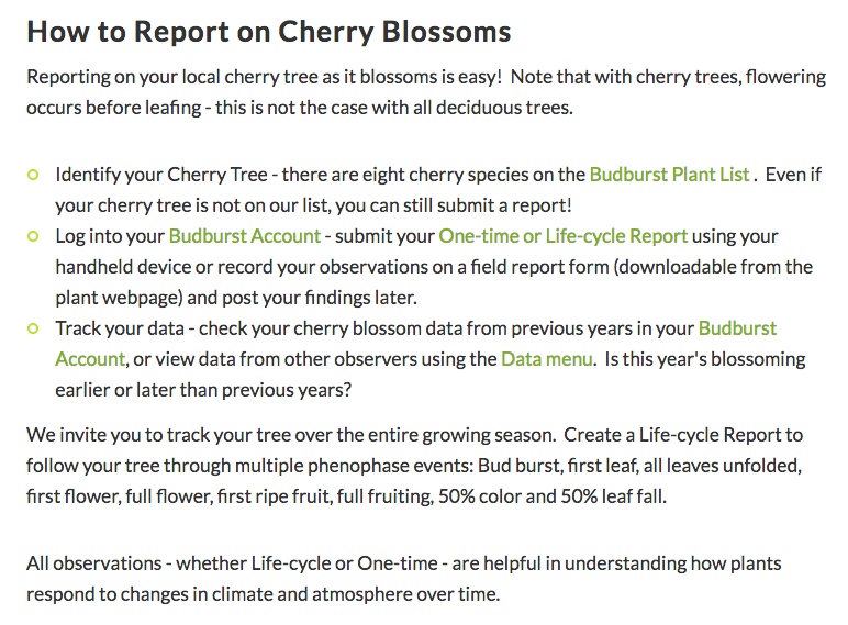 Project Budburst’s Cherry Blossom Blitz