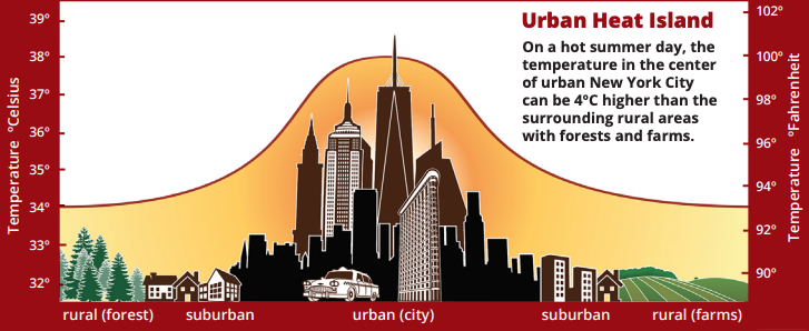 On a hot day, the temperature of urban New York City can be 4 degrees Celsius higher than the surrounding rural areas with forests and farms.