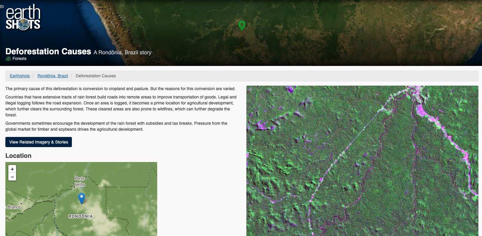 Earthshots Rhodonia