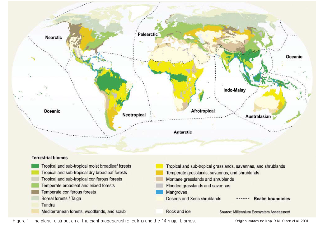 Getting to Know Your Terrestrial Biomes - Source: GLOBE Website
