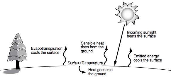 Surface Temperature Image