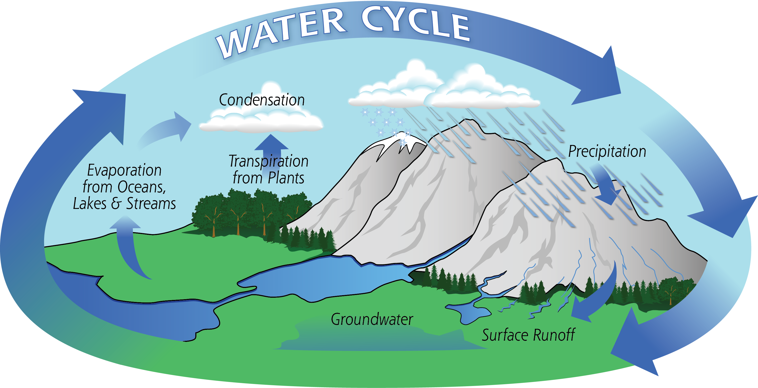 Diagram of the Water Cycle
