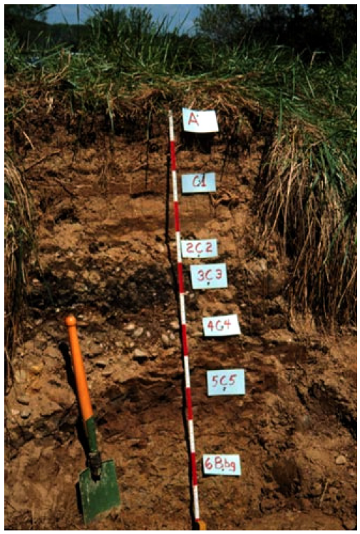 GLOBE - Why Do We Study Soil? 