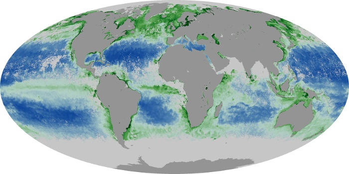 chlorophyll map