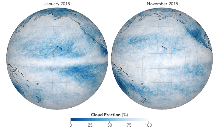 Just as El Niño influences ocean surface temperatures, it also alters the amount and location of clouds over the Pacific. (NASA Earth Observatory maps by Joshua Stevens, using data from the NASA Earth Observations.)