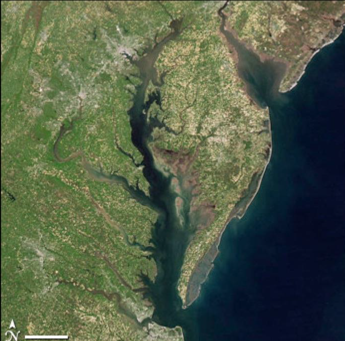Dissolved Oxygen - Chesapeake Bay