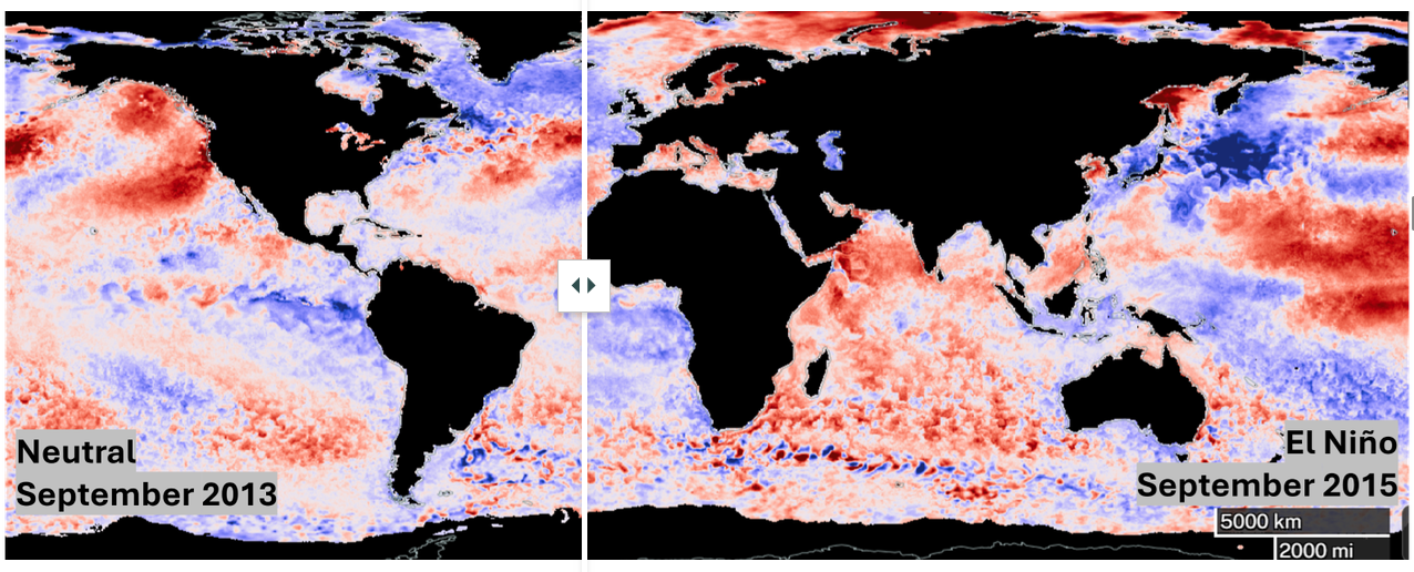 Thumbnail for El Niño Southern Oscillation interactive.