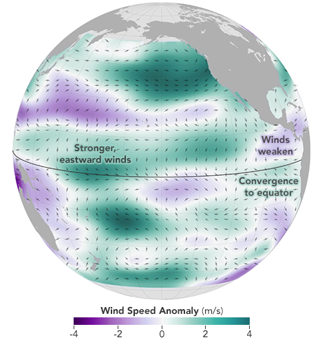 During an El Niño, wind patterns shift all over the Pacific Ocean. Most significantly, they get weaker (purple) in the eastern tropical Pacific, allowing warm surface water to move toward the Americas (NASA Earth Observatory map by Joshua Stevens using RapidScat data from the Jet Propulsion Laboratory.)