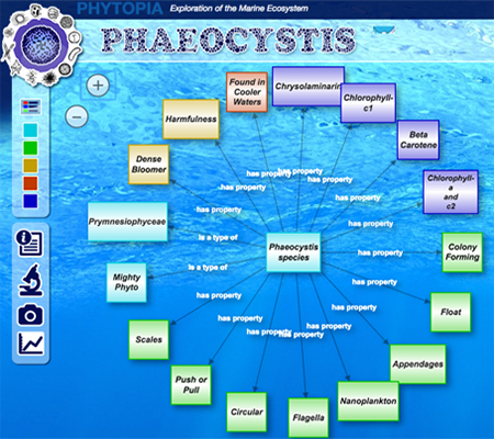 Concept with all the topics/colors visible.