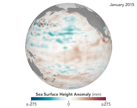 Water expands as it warms, causing the surface of the ocean to rise. (NASA Earth Observatory map by Joshua Stevens, using Jason-2 data provided by Akiko Kayashi and Bill Patzert, NASA/JPL Ocean Surface Topography Team.)