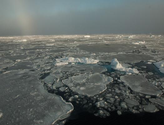 With Thick Ice Gone, Arctic Sea Ice Changes More Slowly