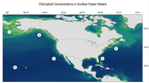 Historic Ocean Chlorophyll Concentrations - Mapped Plot. Source: NASA, NOAA, GlobalChange.gov