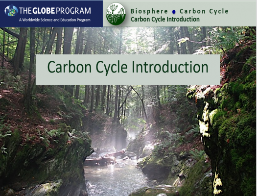 GLOBE Carbon Cycle Introduction - Source;  GLOBE Biosphere eTraining Carbon Cycle Introduction