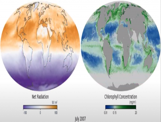 Chlorophyll and Net Radiation. Source: NASA Earth Observatory