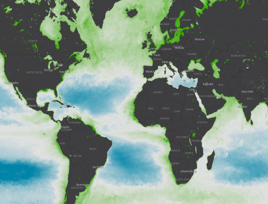 A map of global chlorophyll concentration