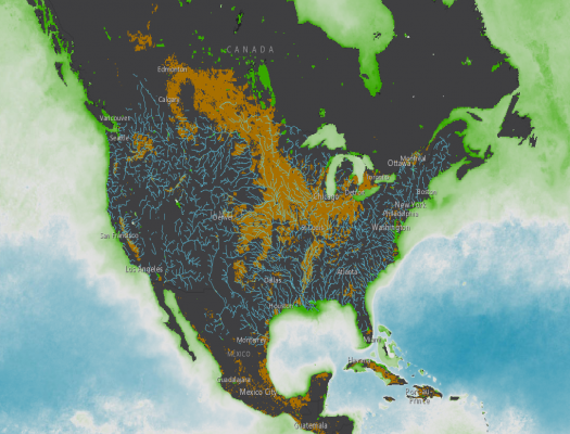 Phytoplankton and Watersheds
