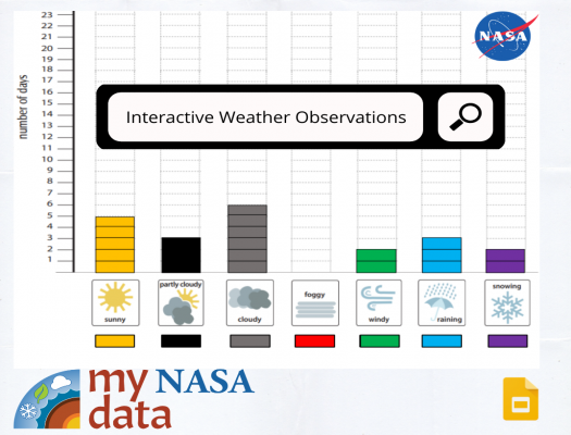 Interactive Bar Charts Image