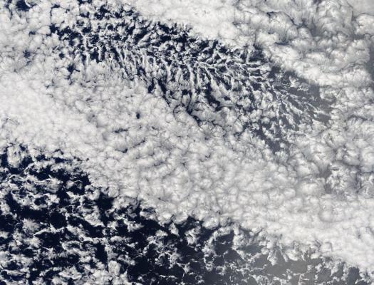 Clouds. Source: NASA Worldview