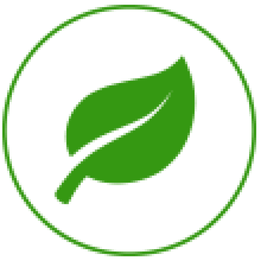 Green circle with a green leaf inside