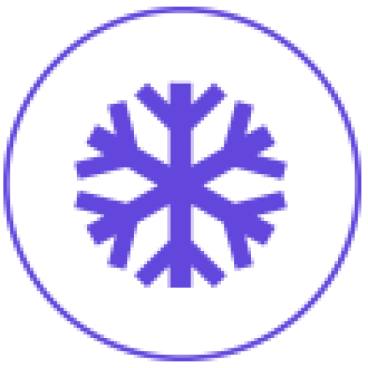 blue circle with snowflake inside
