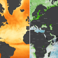 Chlorophyll Concentration and Incoming Shortwave Radiation