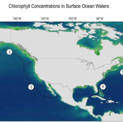 Historic Ocean Chlorophyll Concentrations - Mapped Plot. Source: NASA, NOAA, GlobalChange.gov
