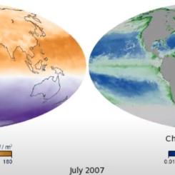 Chlorophyll and Net Radiation. Source: NASA Earth Observatory