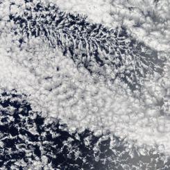 Clouds. Source: NASA Worldview