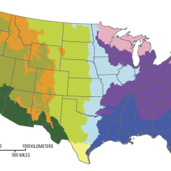 Biogeographic Regions