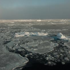 With Thick Ice Gone, Arctic Sea Ice Changes More Slowly