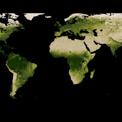 These vegetation index maps show where and how much green leaf vegetation was growing for the time period shown.