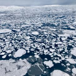 Changes in Snow and Ice Extent